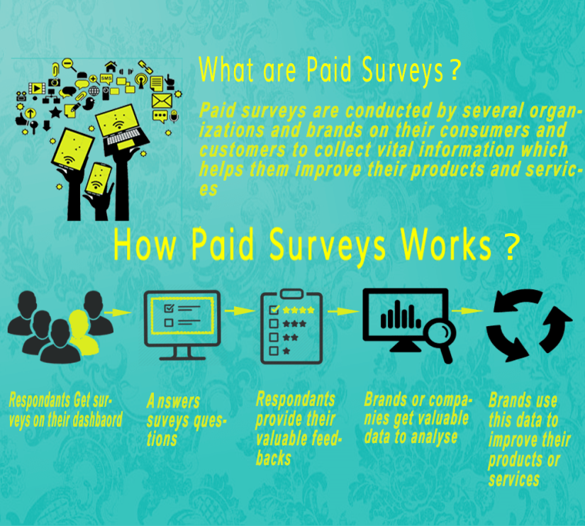 Paid Surveys Sites: Best High Paying Online Surveys 2017 for Cash ...